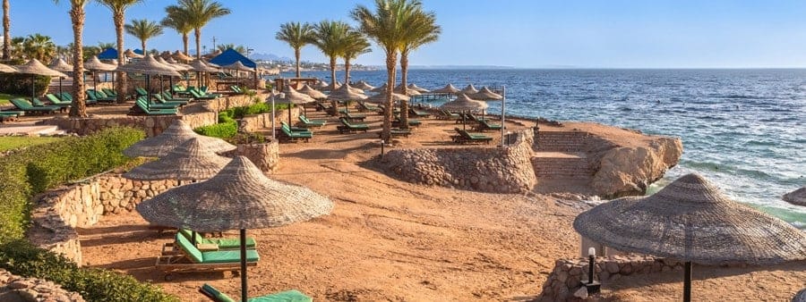 The Great British Dating Fatigue